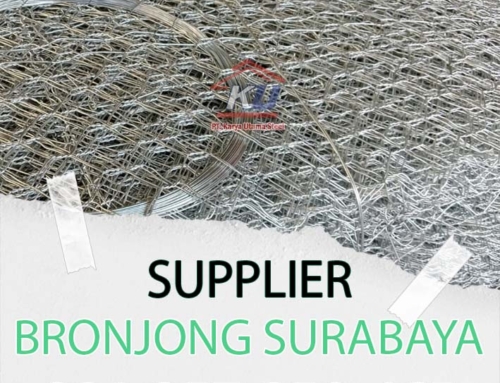 Bronjong: Strategi Pengendalian Erosi yang Terbukti Efektif