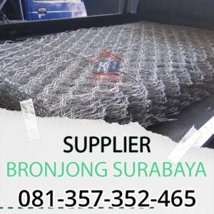 Bronjong: Strategi Pengendalian Erosi yang Terbukti Efektif.